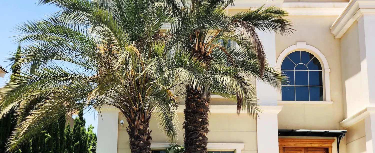 Miami Lakes Property Management